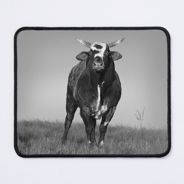 Item preview, RENEGADE, WILD BULL, ANIMAL PHOTOGRAPHY designed and sold by Barbara Jean Photo Art And Design.
