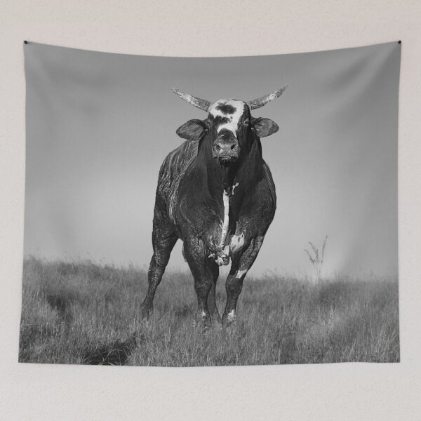 Item preview, RENEGADE, WILD BULL, ANIMAL PHOTOGRAPHY designed and sold by Barbara Jean Photo Art And Design.