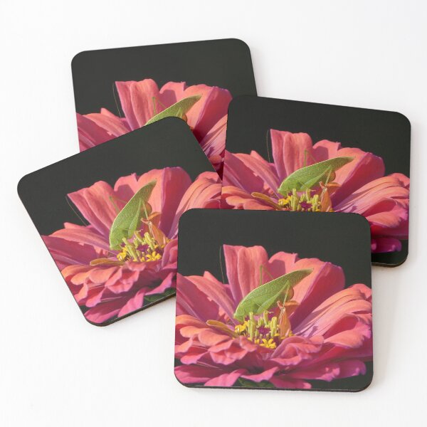 Item preview, Katydid on Zinnia designed and sold by Frankie Cat Photography.