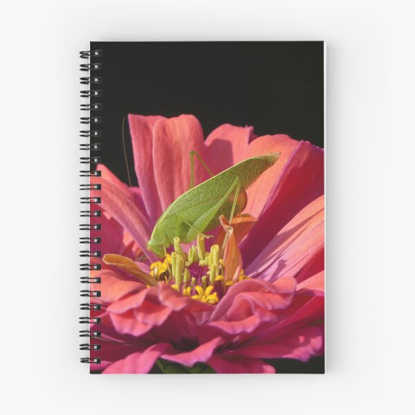 Item preview, Katydid on Zinnia designed and sold by Frankie Cat Photography.