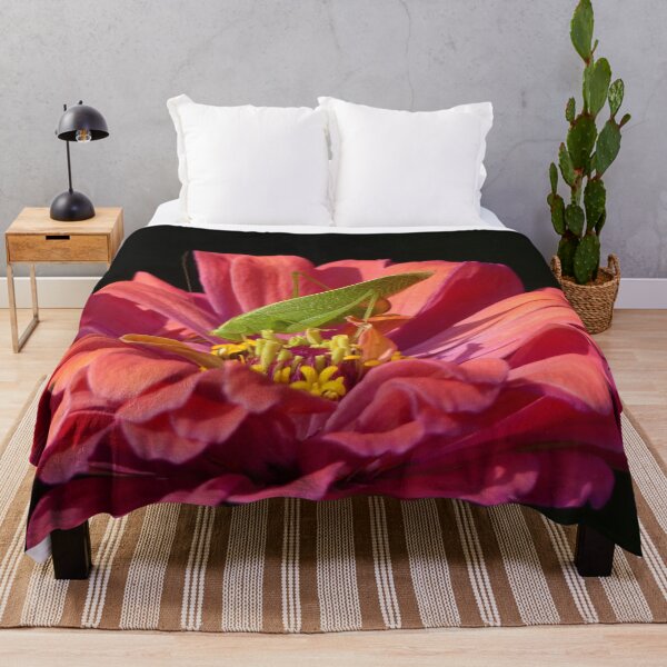 Item preview, Katydid on Zinnia designed and sold by Frankie Cat Photography.