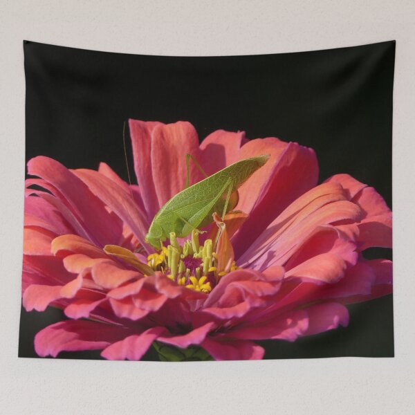 Item preview, Katydid on Zinnia designed and sold by Frankie Cat Photography.