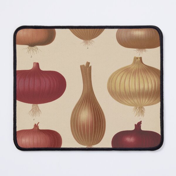 Item preview, Vintage Onion Species Illustrative Diagram (1876) designed and sold by BravuraMedia.