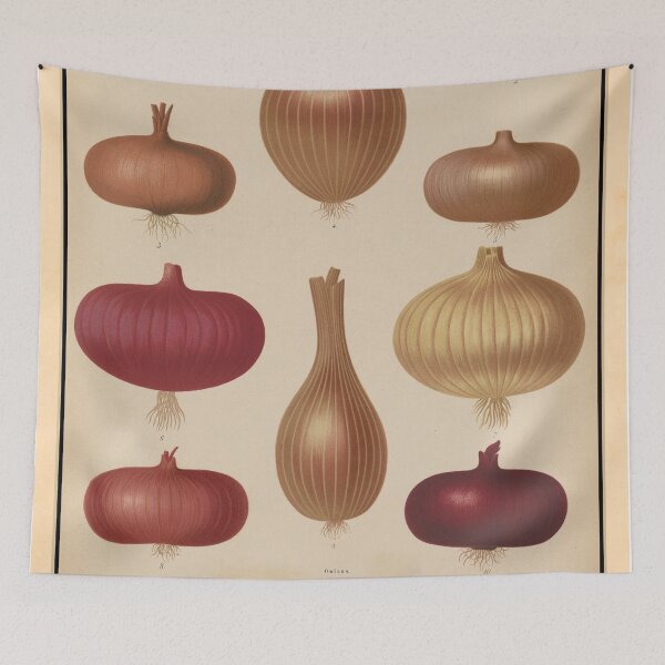 Item preview, Vintage Onion Species Illustrative Diagram (1876) designed and sold by BravuraMedia.