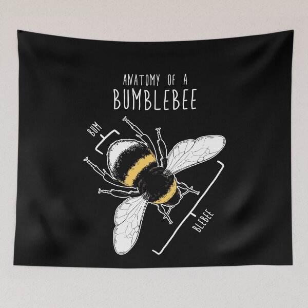 Item preview, Bumblebee Anatomy designed and sold by Clara Hollins.