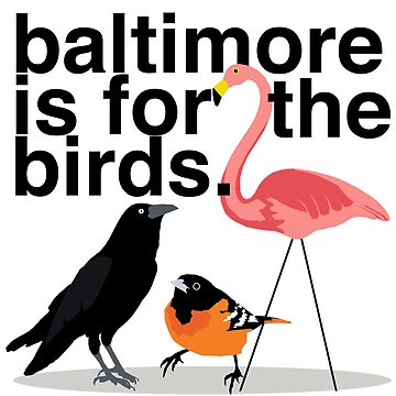Artwork thumbnail, Baltimore is for the Birds by nataliebohemian