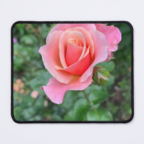 Item preview, Rose designed and sold by Rose Hackl.