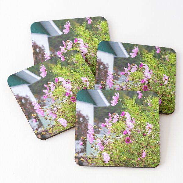 Item preview, Bush of pink Cosmos flowers in a rainy day designed and sold by Travelways.