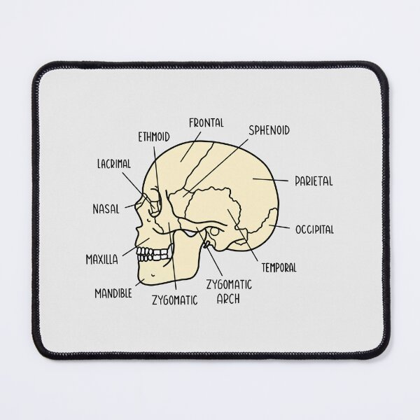 Item preview, Hand Drawn Skull Anatomy designed and sold by SofiaSava01.