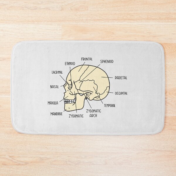 Item preview, Hand Drawn Skull Anatomy designed and sold by SofiaSava01.