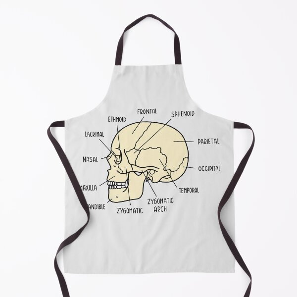 Item preview, Hand Drawn Skull Anatomy designed and sold by SofiaSava01.