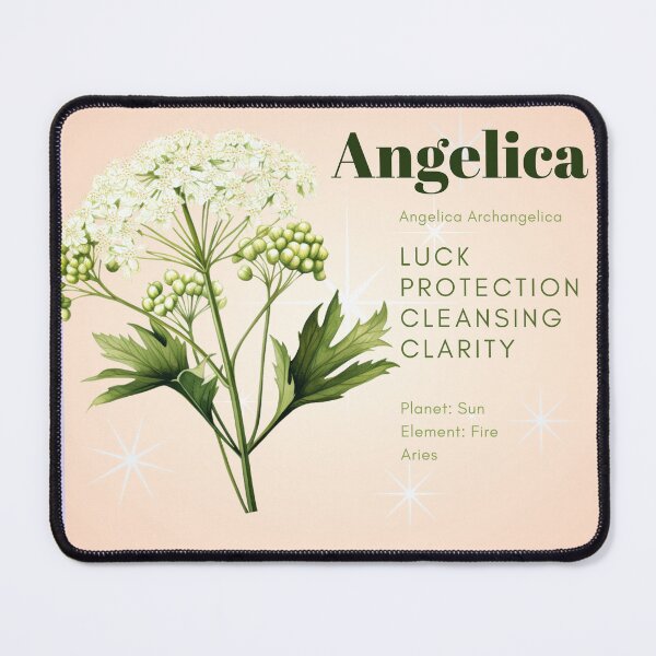 Item preview, Copy of Witches' Herbs Angelica Luck Clarity Cleansing designed and sold by treasuresnoire.