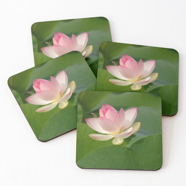Item preview, BEAUtiful Pink Lotus flower, dear to Mahalakshmi, Goddess of Wealth, with bee and the radiating lotus feet of the Lord  designed and sold by TJ Devadatta Best.