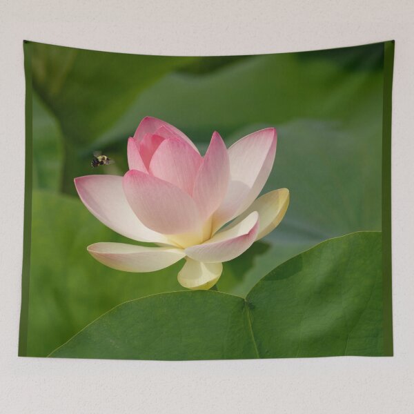 Item preview, BEAUtiful Pink Lotus flower, dear to Mahalakshmi, Goddess of Wealth, with bee and the radiating lotus feet of the Lord  designed and sold by TJ Devadatta Best.