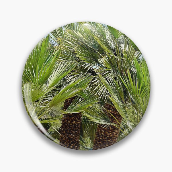 Artikelvorschau, Wrigley Memorial Botanical Gardens Studie 8 entworfen und verkauft von Robert Meyers-Lussier.