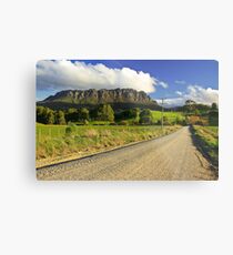 Country Road Metal Print