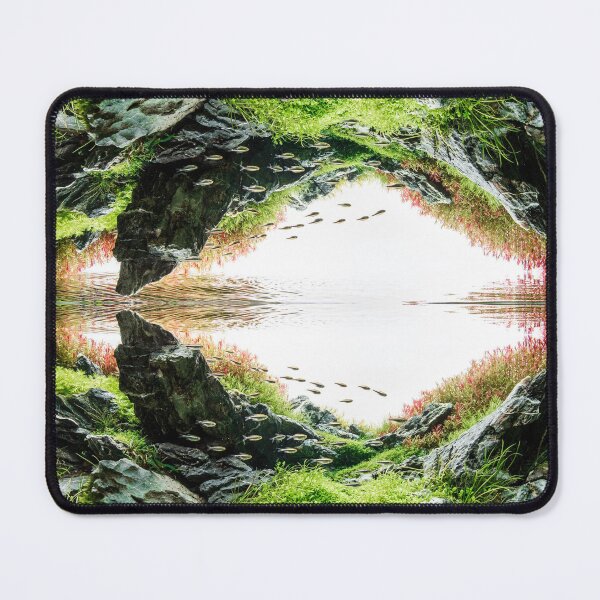 Item preview, Aquascape Nature style reflection designed and sold by sappy187.