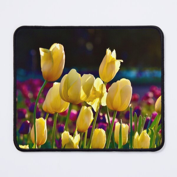 Item preview, Tulips in the evening sun designed and sold by cbrpix.