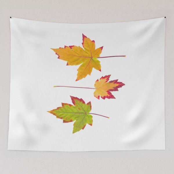 Item preview, Colorful Autumn Leaves 1 designed and sold by Duane  Gamble (Creative Photo Products).