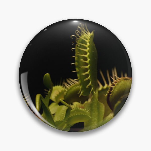 Item preview, Venus Fly Trap - Carnivorous Plant  designed and sold by LCAppling.