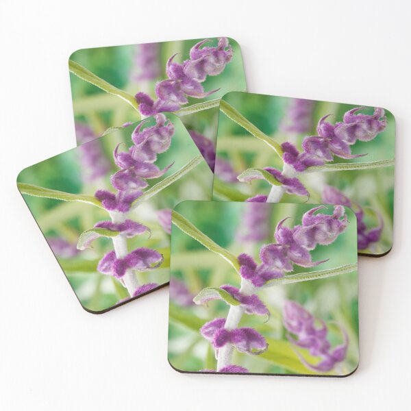 Item preview, Salvia leucantha  AGM  Mexican bush sage  designed and sold by Chris Burrows.
