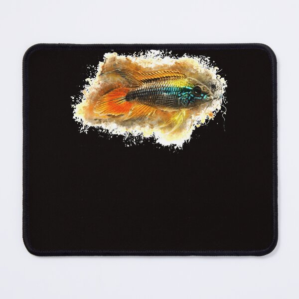 Item preview, Agassiz Dwarf Cichlid Apistogramma Agassizii designed and sold by HawthoBrick.
