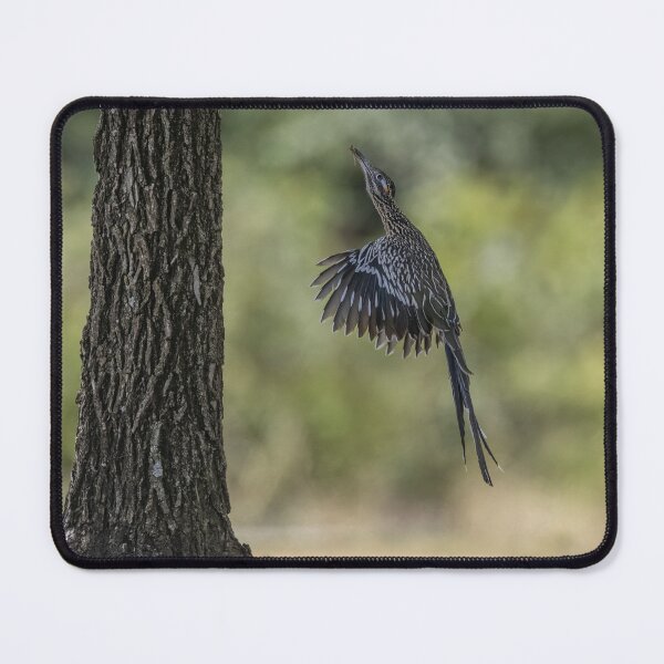 Item preview, Mama Road runner taking food to its babies designed and sold by Puttaswamy Ravishankar.