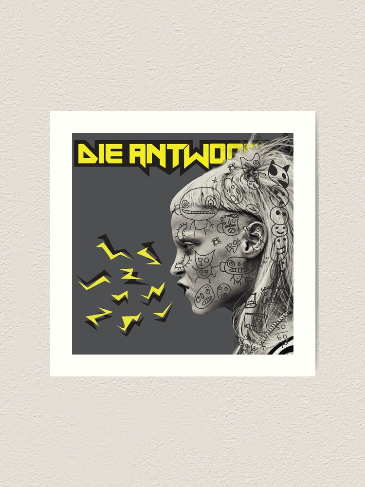 die antwoord enter the ninja artist die antwoord enter the ninja artist