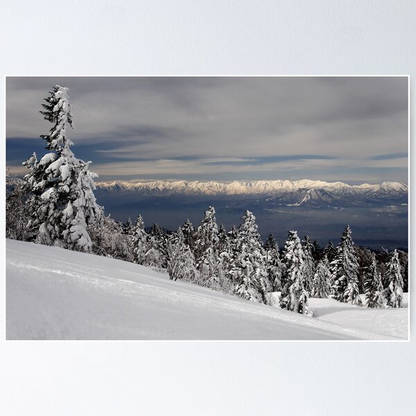 Shiga Snow Fields Poster