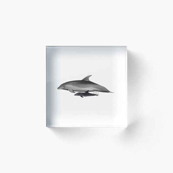 Baby Delfin Gifts Merchandise Redbubble