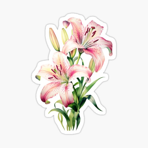 Artikel-Vorschau von Stargazer-Lilienblume in Aquarellmalerei/Aufkleber, designt und verkauft von MahsaWatercolor.