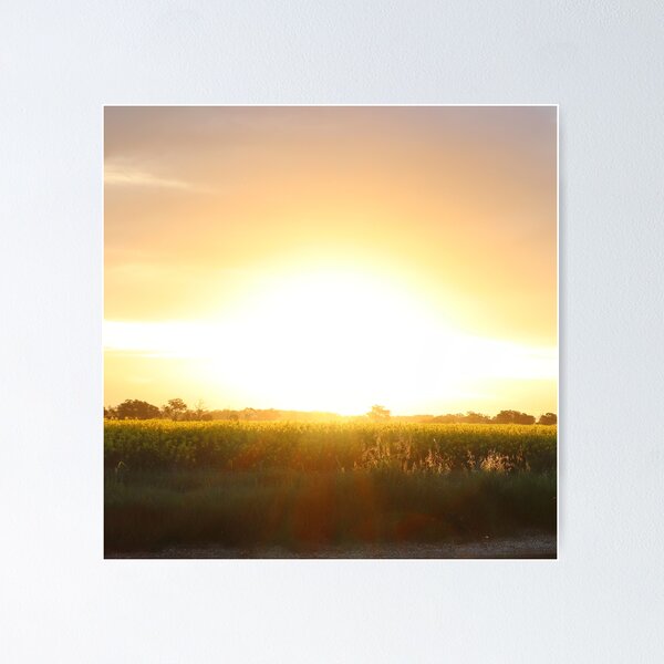 Item preview, Sunset over Canola designed and sold by MindfulBelle.