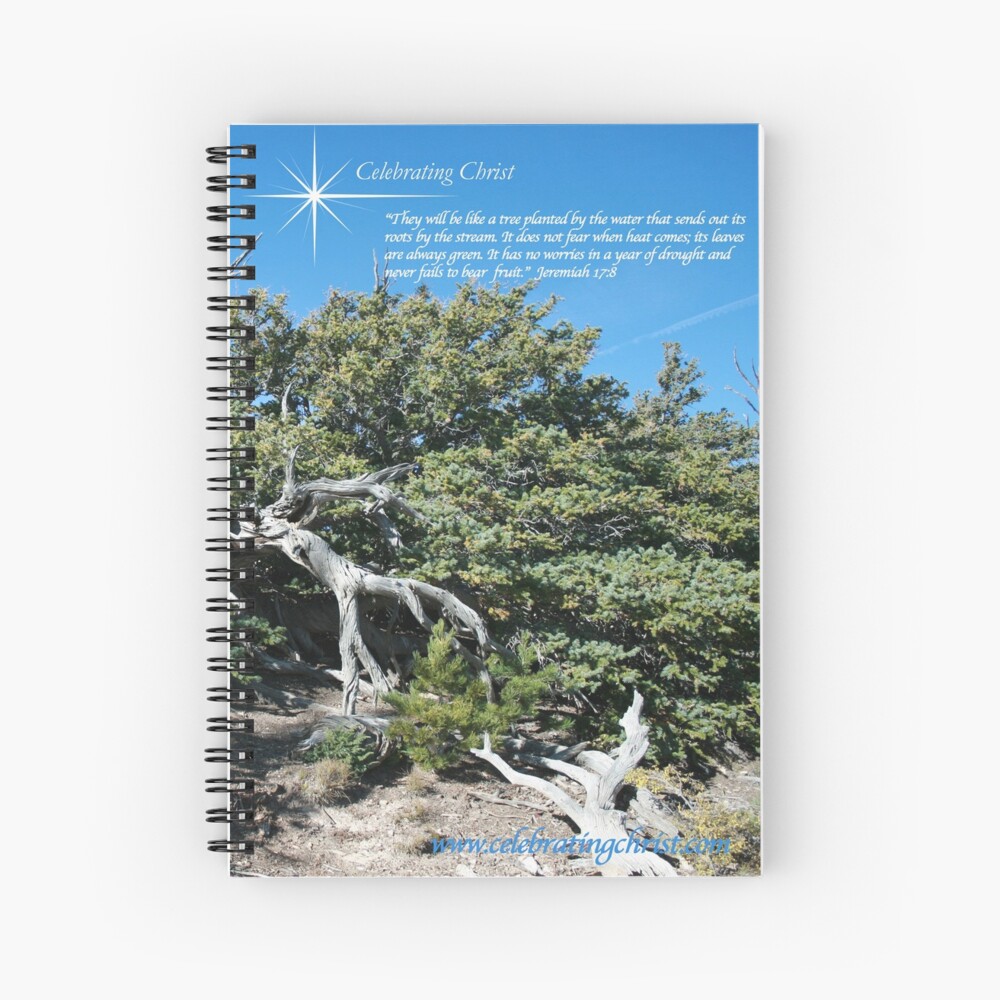 Bristlecone Pine Story Image - From ccnow.info Spiral Notebook