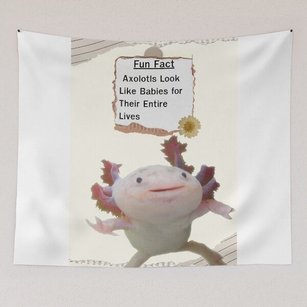 Item preview, Axolotls Fun Fact Education designed and sold by Yellowriversss.