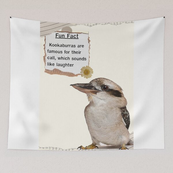 Item preview, Kookaburra Bird Fun Fact Education designed and sold by Yellowriversss.