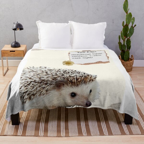 Item preview, hedgehog Fun Fact Education designed and sold by Yellowriversss.