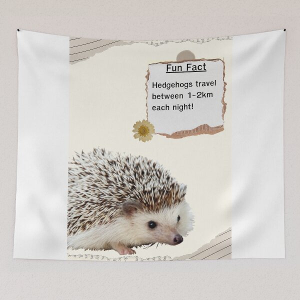 Item preview, hedgehog Fun Fact Education designed and sold by Yellowriversss.