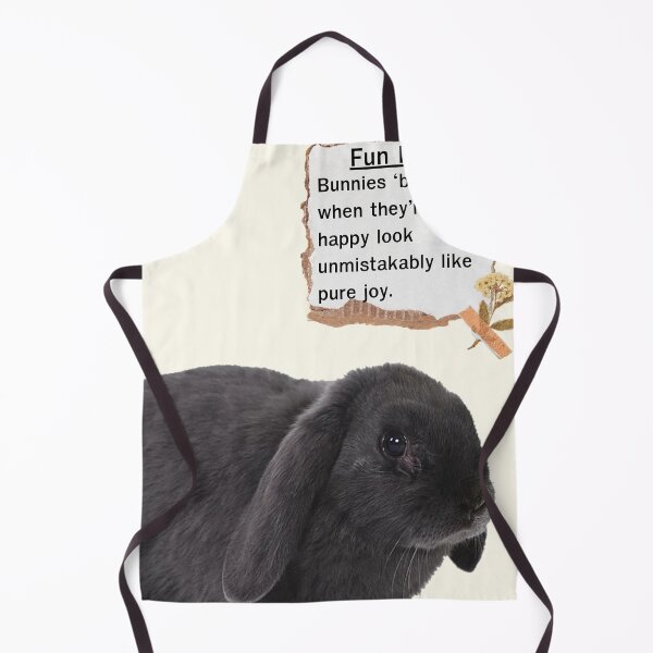 Item preview, Rabbit Fun Fact Education designed and sold by Yellowriversss.