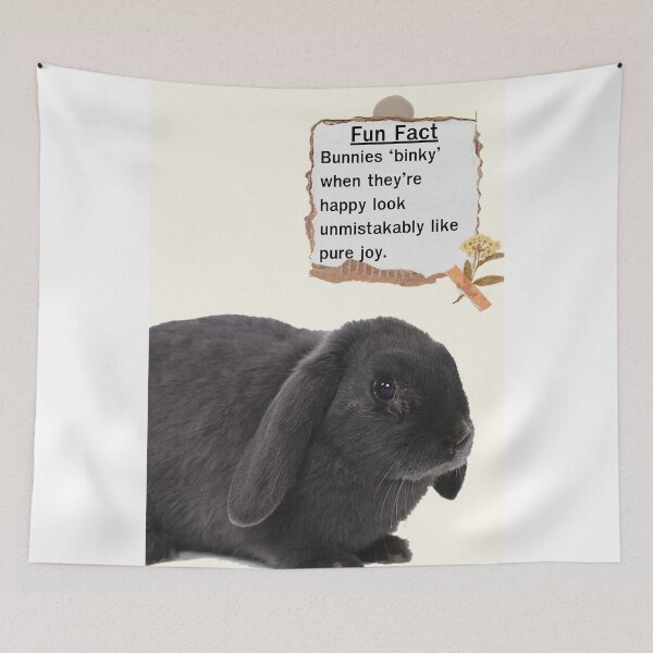 Item preview, Rabbit Fun Fact Education designed and sold by Yellowriversss.
