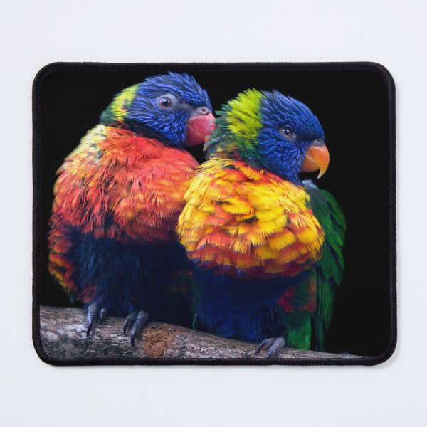 Item preview, Rainbow Lorikeets designed and sold by Krys Bailey.