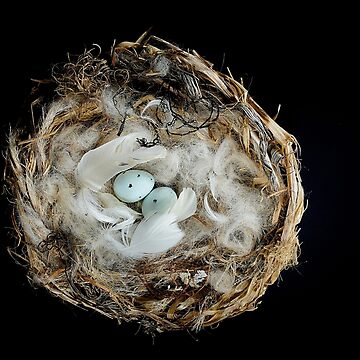 Artwork thumbnail, Testament to Resilience - Hoary Redpoll Nest Sculpture by ZoraVerona