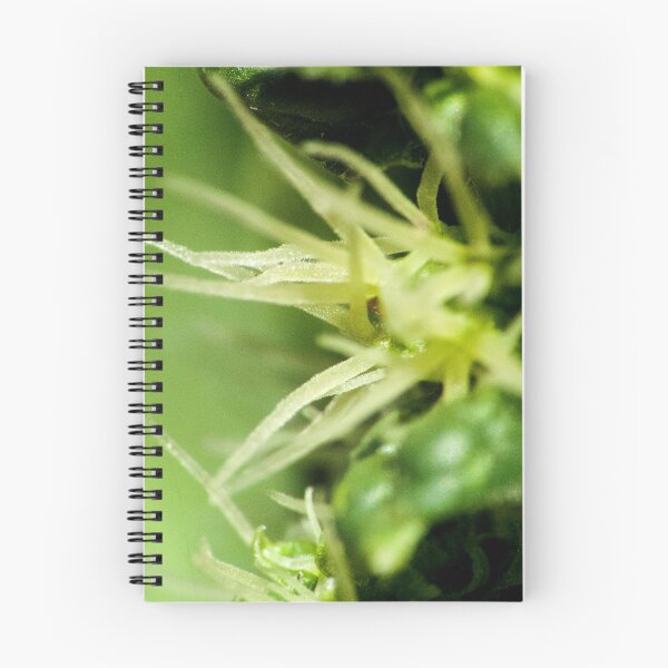 Item preview, Tiny Green Flower designed and sold by DPalmer.