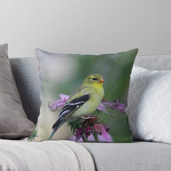 Item preview, American Goldfinch - female designed and sold by Linda Crockett.