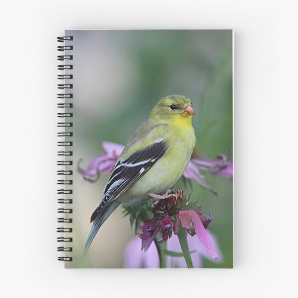 Item preview, American Goldfinch - female designed and sold by Linda Crockett.