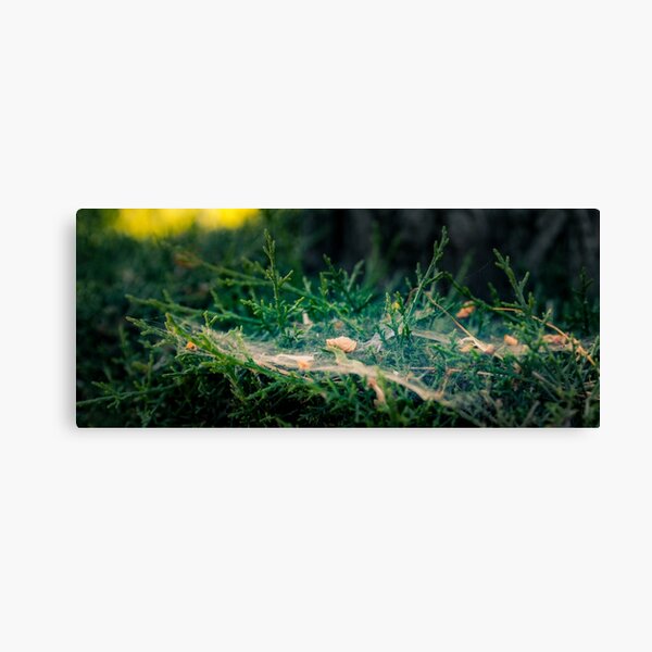 Web Development Canvas Print