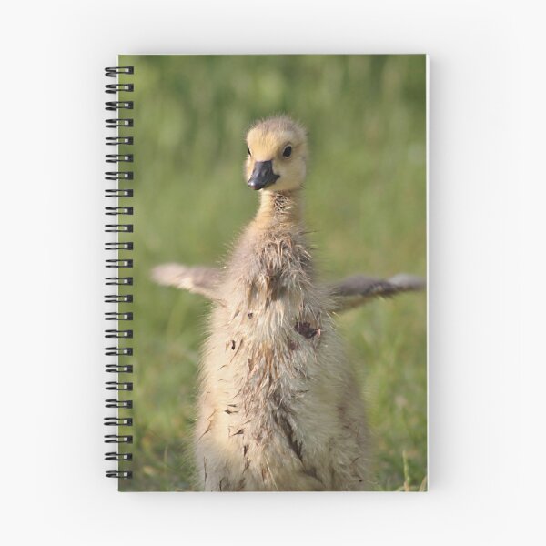 Item preview, One day I'll fly designed and sold by Linda Crockett.