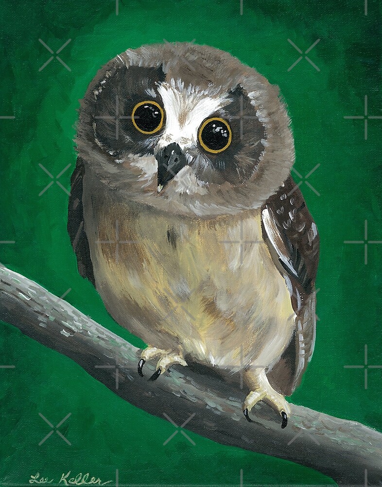 "Cute Baby Owl Art" by leekellerart Redbubble