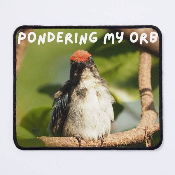 Item preview, Pondering My Orb designed and sold by Artprentice.
