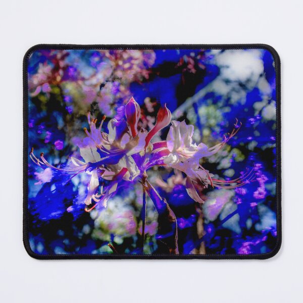 Item preview, Digital Creation XI designed and sold by ginacangogo.
