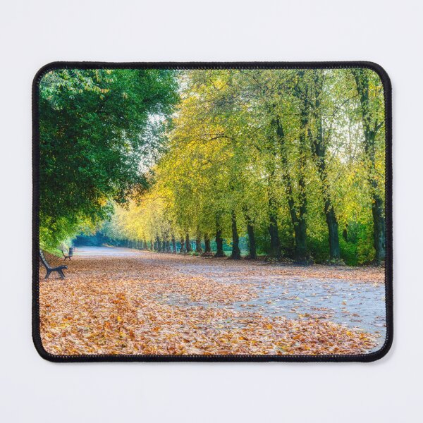 Item preview, Autumnal Season at the Park (Corporation Park, Blackburn, Lancashire) designed and sold by Shafiq Khan.
